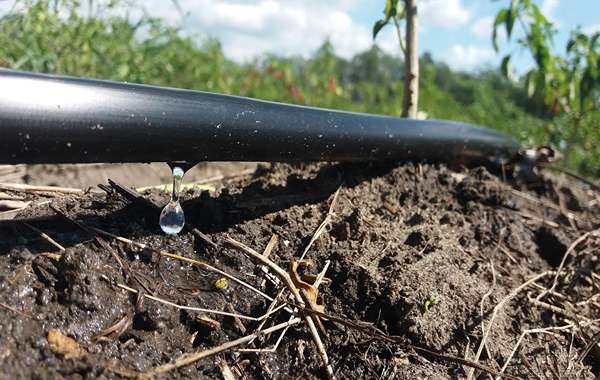 تصویر 1 از شیلنگ پلاستیکی آبیاری مدل مقاوم در برابر نور خورشید